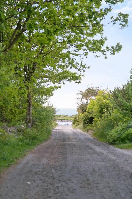 Cozy Cottage By The Sea South Of Varberg Traslovslage ภายนอก รูปภาพ